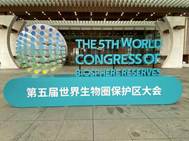 fb50d3c69a5cfc98f98fb088a536d7f