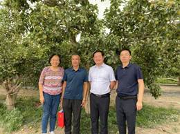 b085038f39d7aba86c256b2c1b6df9e