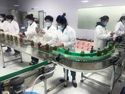 ���庣����ӹ�������