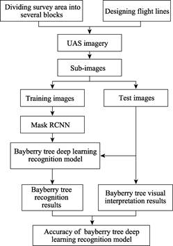 Figure 1 Technical flow chart showing generation of the dataset