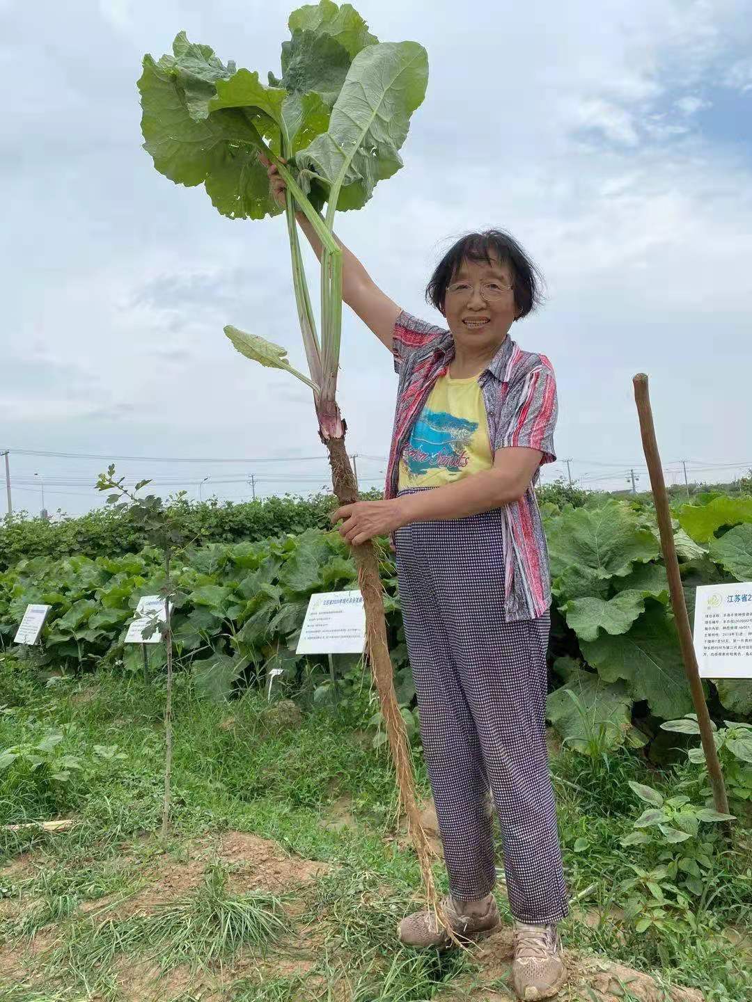图 11